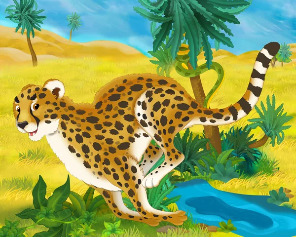 Dessin animé guépard animal — Photo