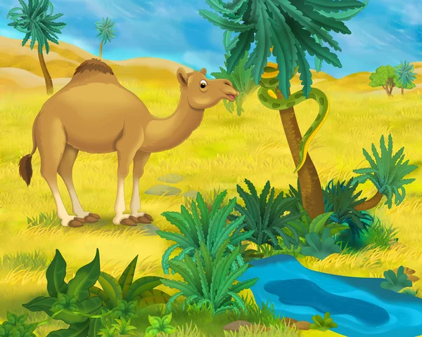 Cartoon wild camel — Stockfoto