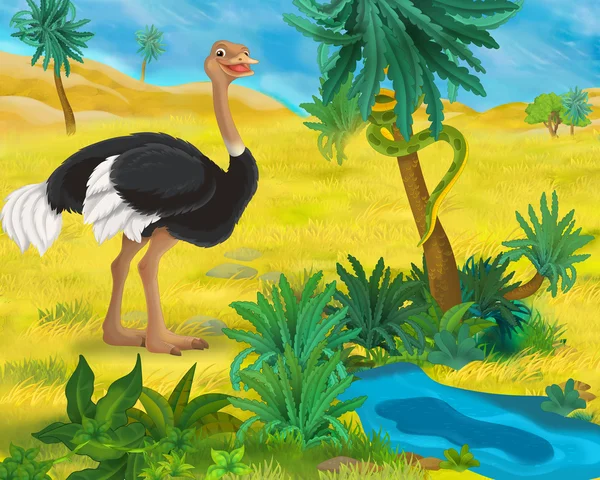 Мультяшная птица-страус — стоковое фото
