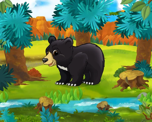 Cartoon Caricature bear — Stock Photo, Image