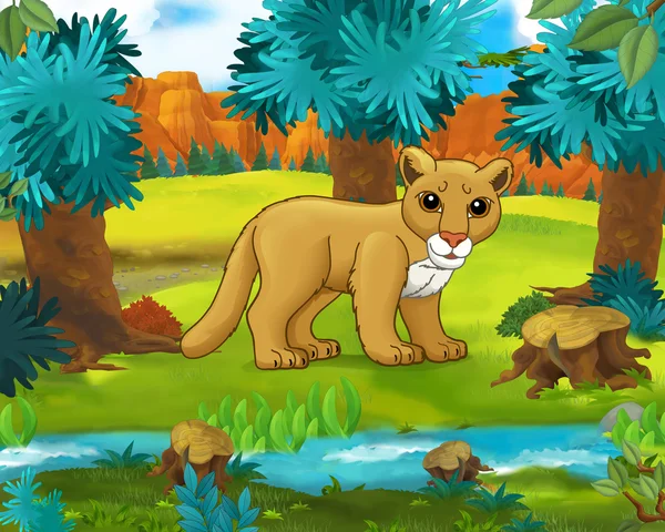 Cougar cartoon Stock Photos, Royalty Free Cougar cartoon Images | Depositphotos Cougar cartoon Stock Photos, Royalty Free Cougar cartoon Images | Depositphotos