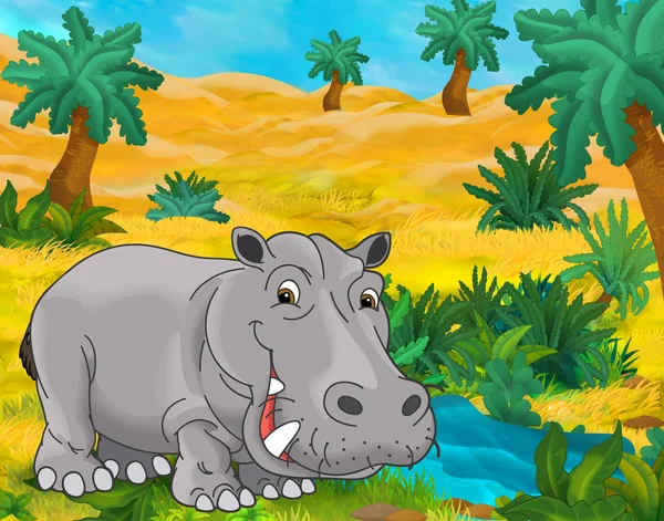 Cartoon hippopotamus animal — Stock Photo, Image