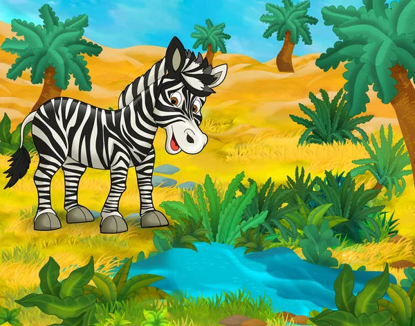 Cartoon zebra dier — Stockfoto