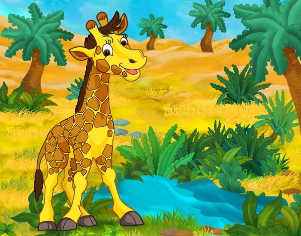 Cartoon giraff djur — Stockfoto