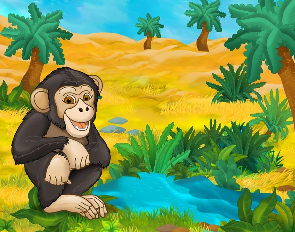 Cartoon aap dier — Stockfoto