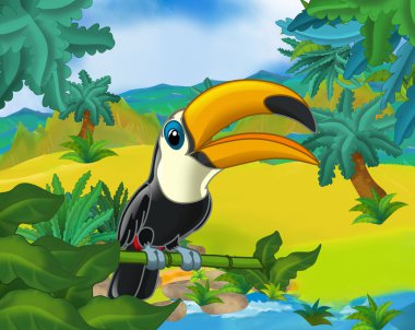 Çizgi film vahşi toucan