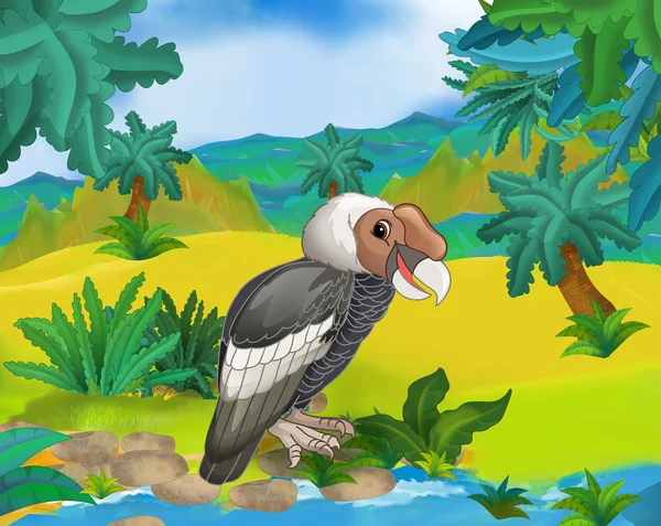 Condor selvagem de desenhos animados — Fotografia de Stock