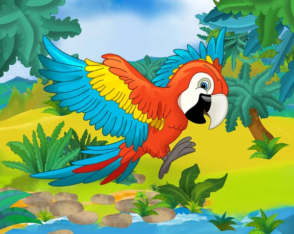 Cartoon wild parrot — Stock Photo, Image