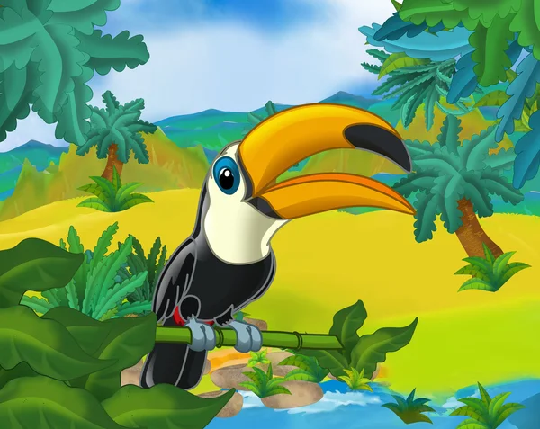 Tecknade vilda toucan — Stockfoto