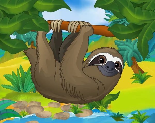 Cartoon wild sloth — Stock Photo, Image