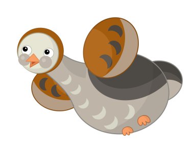 karikatür komik kuş