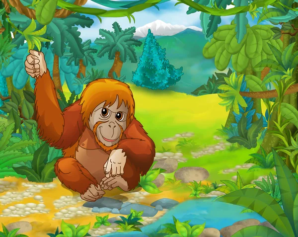 Karikatür hayvan - orangutan — Stok fotoğraf