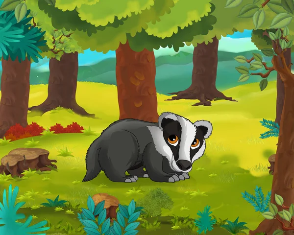 Cartoon animal - badger — Stock Photo, Image