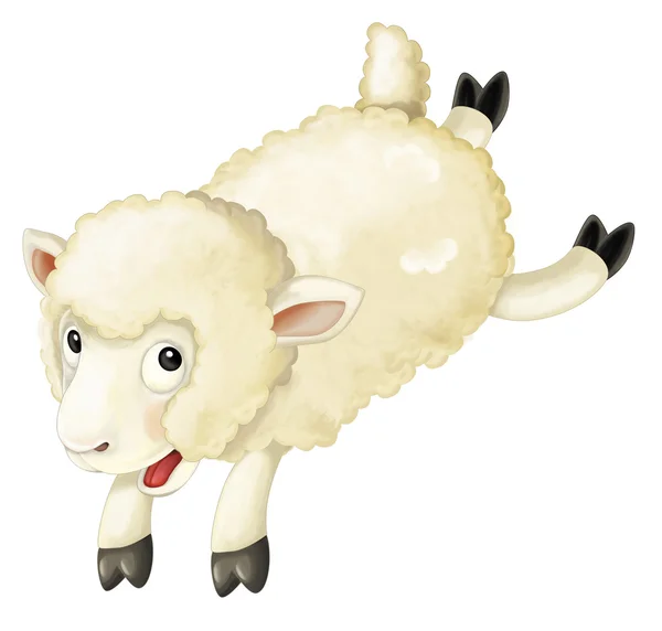 Dessin animé moutons blancs — Photo