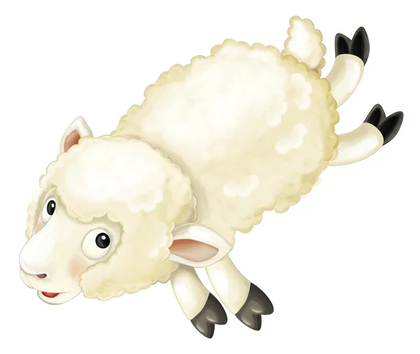 Cartoon witte schapen — Stockfoto