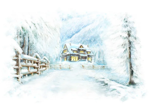 Vánoční zimní radost scene — Stock fotografie