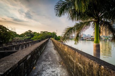 Palmiye ağacı ve duvarlar, Fort Santiago, Int Pasig Nehri boyunca