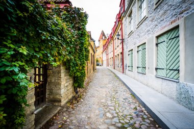 Bir dar Arnavut kaldırımlı sokak, eski Town Tallinn, Estonya