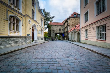 Old Town Arnavut kaldırımı sokak ve ortaçağ mimarisi 