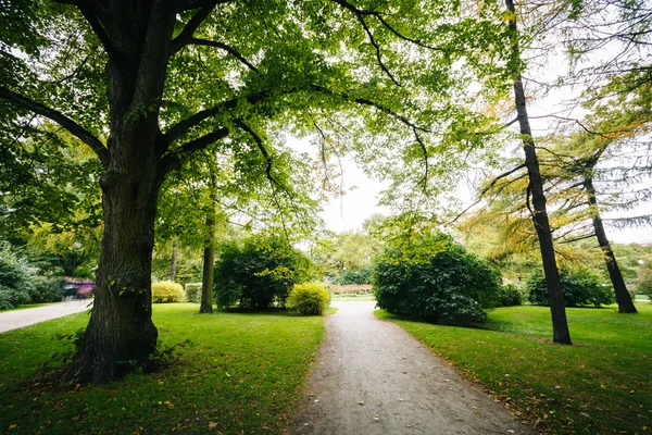 Caminho e árvores num pequeno parque, em Tallinn, Estónia . — Fotografia de Stock