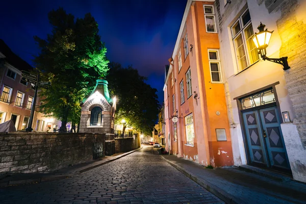 Calle adoquinada y arquitectura medieval por la noche, en el Ol —  Fotos de Stock