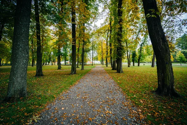 Počátkem podzimu barva podél chodníku v Kadrioru parku, Tal — Stock fotografie