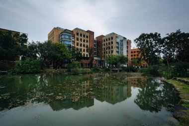 Ulusal Tayvan Üniversitesi'nde bir havuzda yansıtan binalar