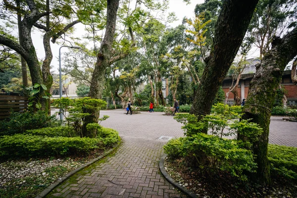 Walkway and trees at National Taiwan University, in Taipei, Taiw — Stock Photo, Image