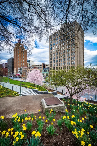 Trädgårdar och byggnader längs 3rd Street, i centrala Harrisburg, — Stockfoto