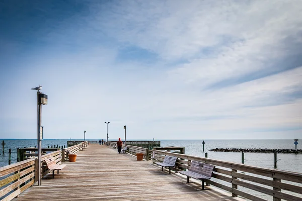 El muelle de pesca en la playa de Chesapeake, a lo largo de la bahía de Chesapeake i —  Fotos de Stock