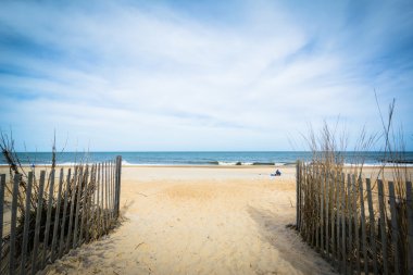Rehoboth Beach, Delaware sahil yolu.