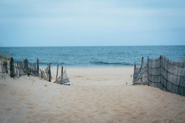 Camino a la playa en Cape Henlopen State Park, en Rehoboth Beach — Foto de Stock