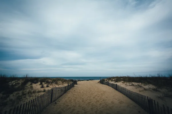 Elérési útját a strandon a Cape Henlopen State Park, Rehoboth Beach — Stock Fotó