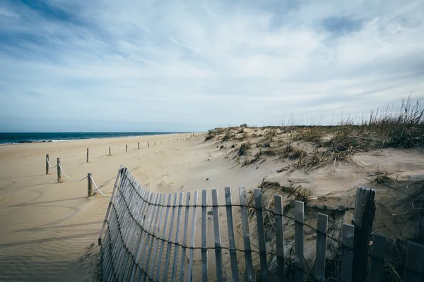 Fence and sand dunes at Cape Henlopen State Park in Rehoboth Bea — Stock Photo, Image