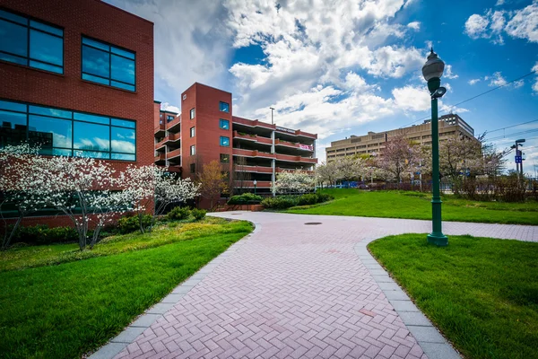 Walkway and buildings in Midtown Baltimore, Maryland. — Stock Photo, Image