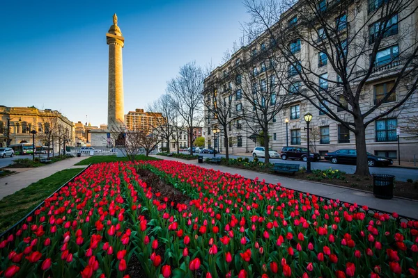 Tulpen und das Washingtondenkmal, in mount vernon, baltimore, — Stockfoto