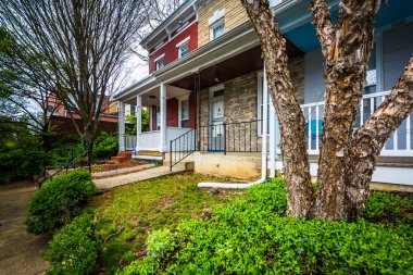 Ağaçlar ve çalılar Hampden, Baltimore, Maryl evlerde önünde