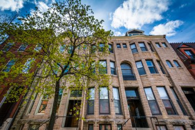 Ağaç ve satır evleri Mount Vernon, Baltimore, Maryland.