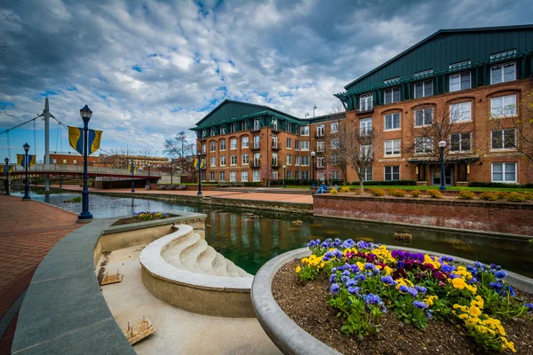 Flores e edifícios ao longo de Carroll Creek, em Frederick, Marylan — Fotografia de Stock