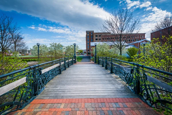 Ponte sobre Carroll Creek, em Frederick, Maryland . — Fotografia de Stock