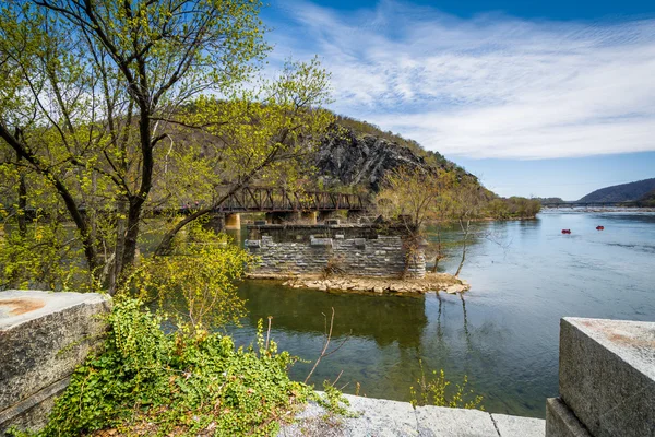 Ruines d'un vieux pont dans la rivière Potomac, à Harpers Ferry, W — Photo