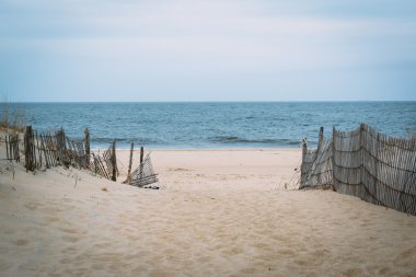 Cape Henlopen State Park'ta, Rehoboth Beach plaj yolu