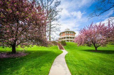Bina ve Bahar renk Johns Hopkins Mount Washington, 