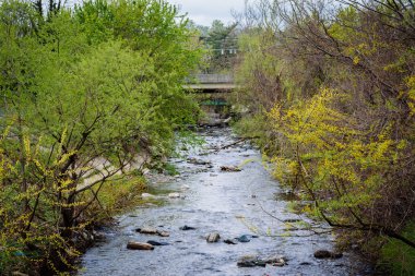 Jones Falls, Mount Washington, Baltimore, Maryland.