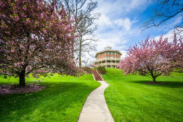 Building and spring color at Johns Hopkins at Mount Washington, — Stock Photo, Image