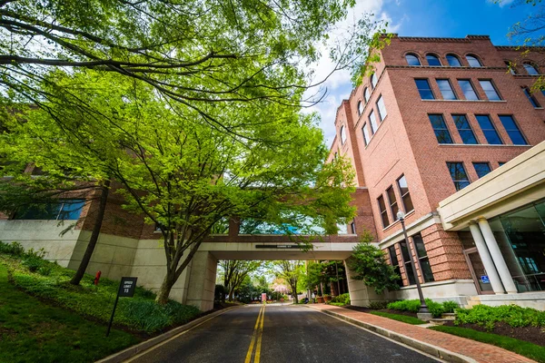 Gebouw in John Hopkins op Mount Washington, in Baltimore, Mary — Stockfoto