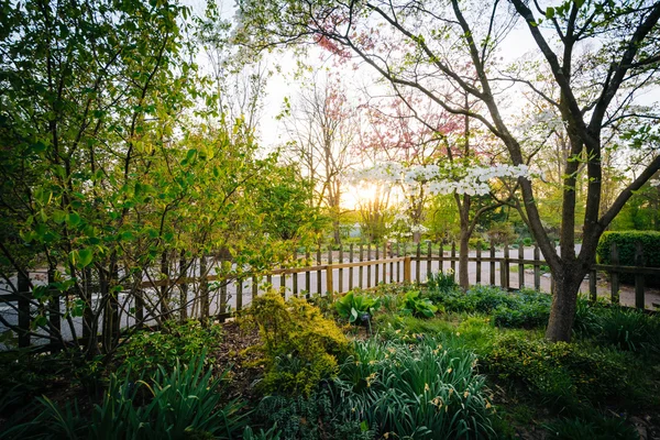 フェンスのダイヤモ、ボルチモア、メリーランド州の庭園と. — ストック写真