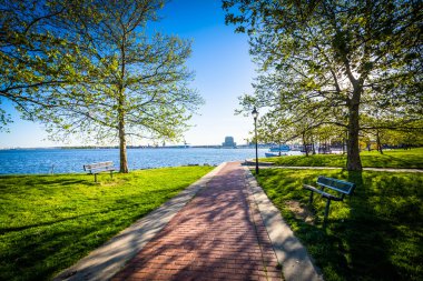 Canton Waterfront Park'ta bir geçit boyunca Ağaçlar, Baltimore, M