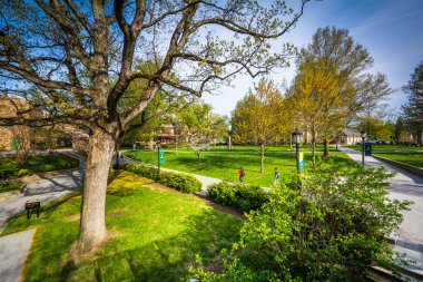 Ağaçlar ve yürüyüş yolları, baltimore, Maryland Loyola Üniversitesi, 