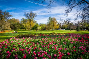 Lale Sherwood Gardens park, Baltimore, maryland.